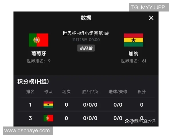 葡萄牙与塞尔维亚足球对决全面分析战术特点与球员表现